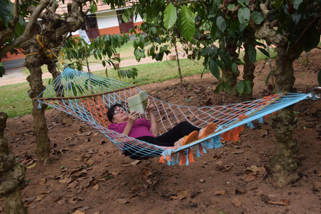 Stay Simple 3 Hills County Resort Kalpatta Exterior foto